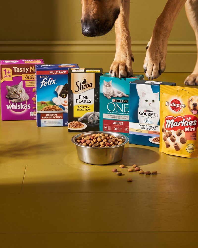 Plain pet food pouches, cans and a sack of dry food arranged on an olive gold background.