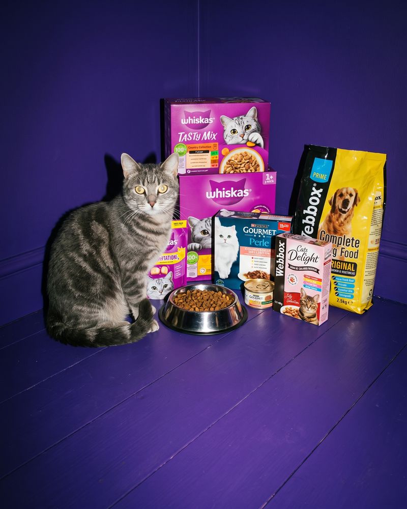 Whiskas, Gourmet and Webbox cat and dog food — pouch boxes, tins, treats and dry bags on a deep violet background.