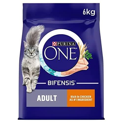 Purina ONE Adult Rich in Chicken 6kg