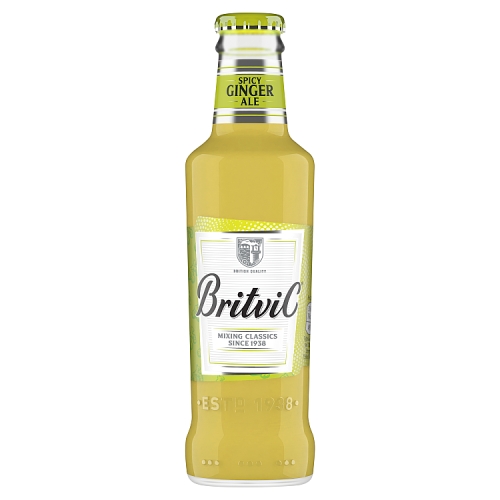 Britvic Ginger Ale 200ml pack shot