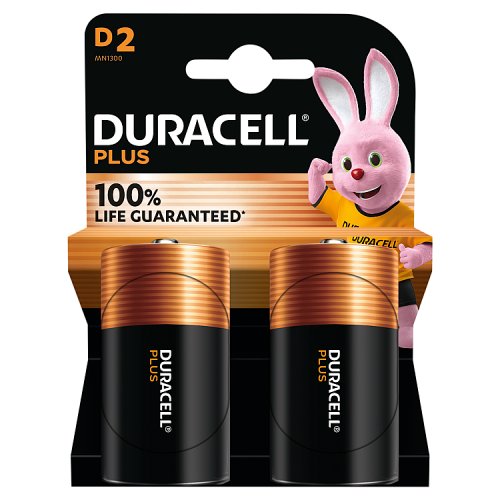Duracell D Plus 100% Power 2s pack shot