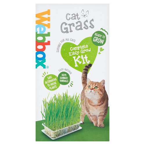 Webbox Cat Grass Kit, 120G, Case of 6 pack shot