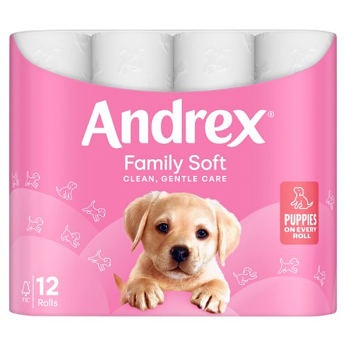 Andrex Family Soft Roll 12s (12 x 170 sheets) pack shot