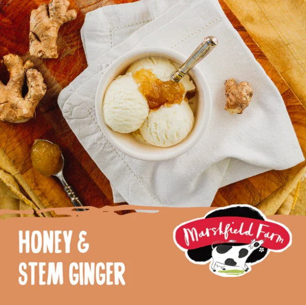 Marshfield Honey & Ginger 4.5Ltr pack shot
