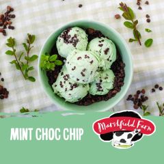 Marshfield Mint Choc Chip 4.5Ltr pack shot