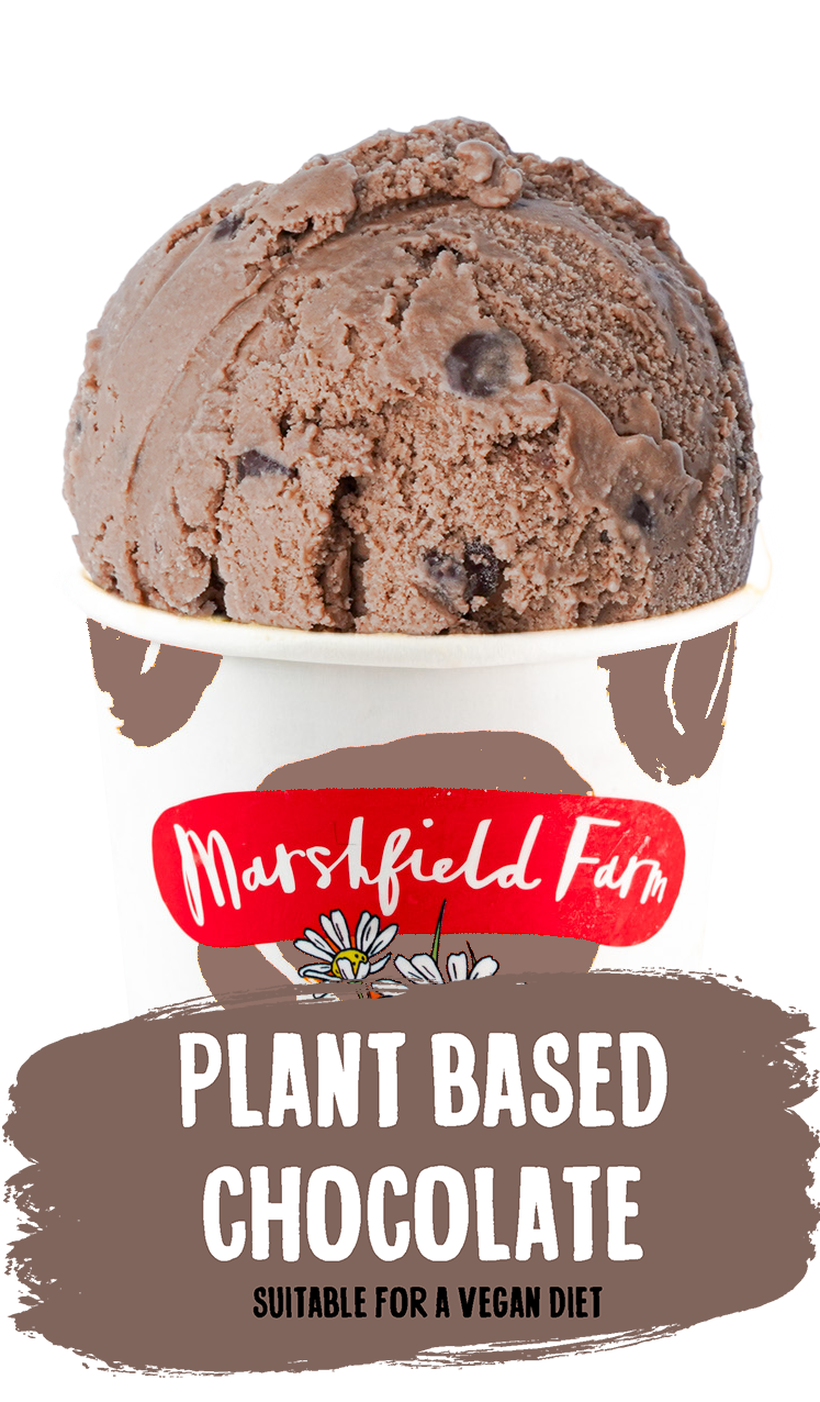 Marshfield Plant Based Chocolate Chip 125ml pack shot