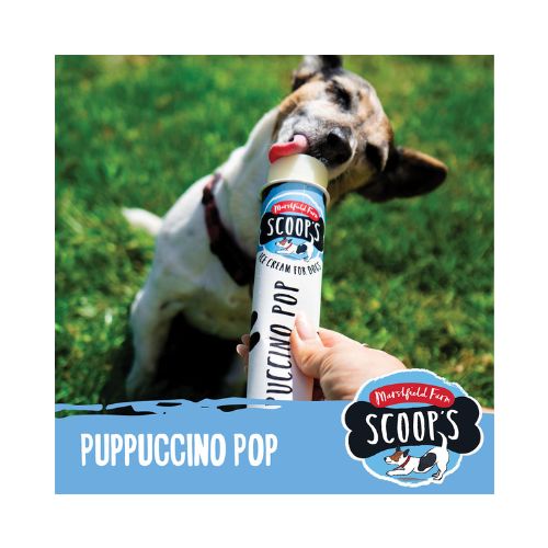 Marshfield Puppuccino Pop 110ml pack shot